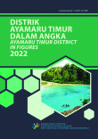 Distrik Ayamaru Timur Dalam Angka 2022