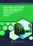 Distrik Aitinyo Dalam Angka 2022